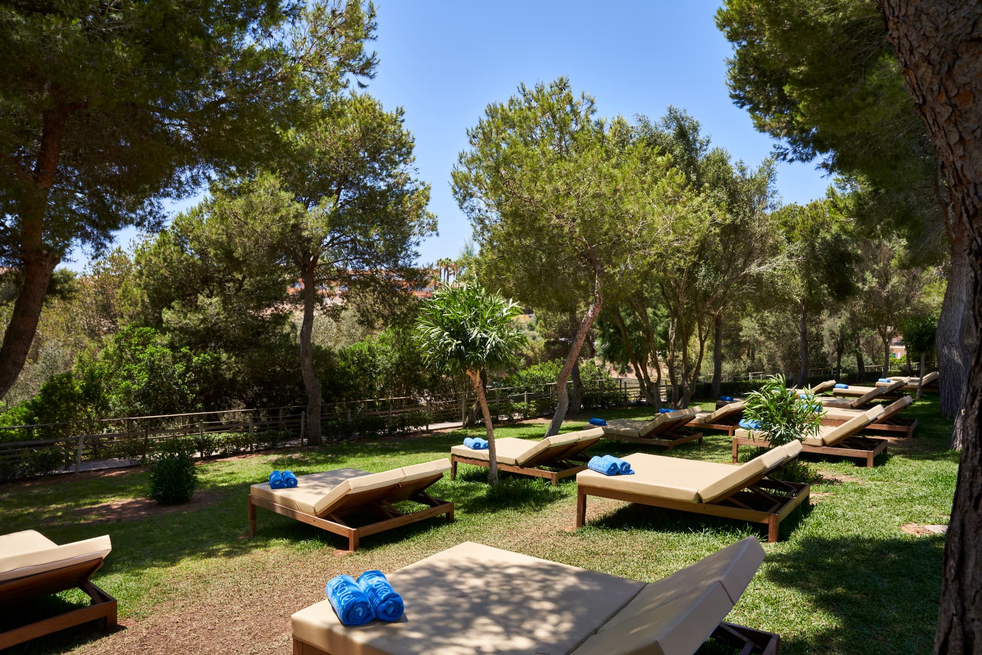 Zona ajardinada con tumbonas, Insotel Cala Mandía Resort & Spa